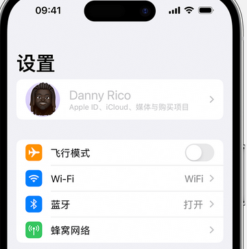 麻涌镇appleID维修服务iPhone设置中Apple ID显示为灰色无法使用 