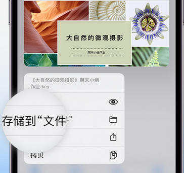 麻涌镇apple维修中心分享iPhone文件应用中存储和找到下载文件