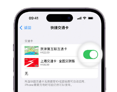 麻涌镇apple维修点分享iPhone上更换Apple Pay快捷交通卡手绘卡面 