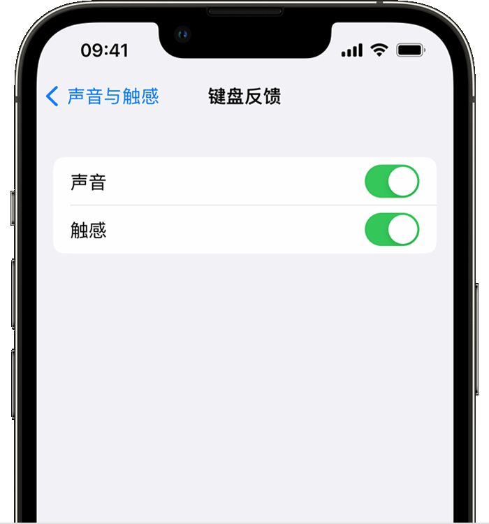 麻涌镇苹果14维修店分享如何在 iPhone 14 机型中使用触感键盘 