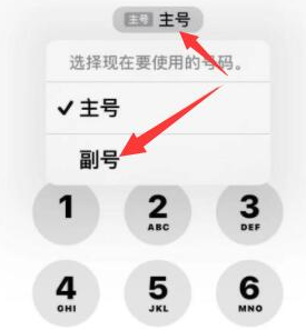 麻涌镇苹果14维修店分享iPhone 14 Pro Max使用副卡打电话的方法 