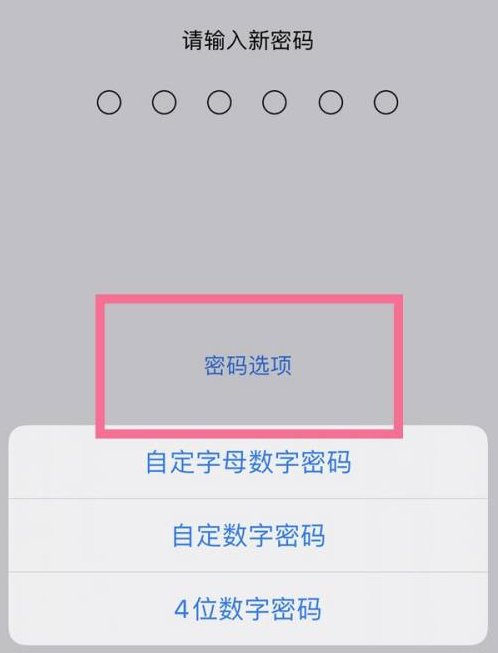 麻涌镇苹果14维修分享iPhone 14plus设置密码的方法 