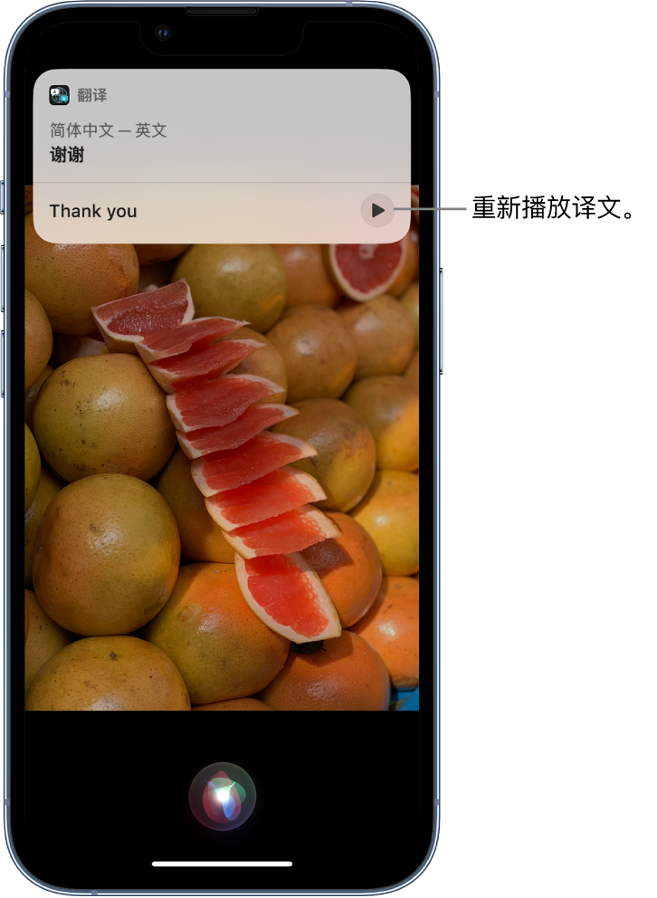 麻涌镇苹果14维修分享 iPhone 14 机型中使用 Siri：了解 Siri 能帮你做什么 