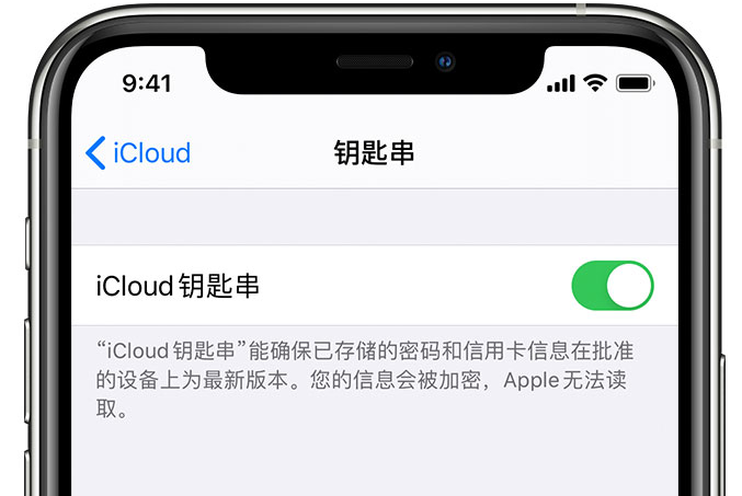 麻涌镇苹果手机维修分享在 iPhone 上开启 iCloud 钥匙串之后会储存哪些信息 