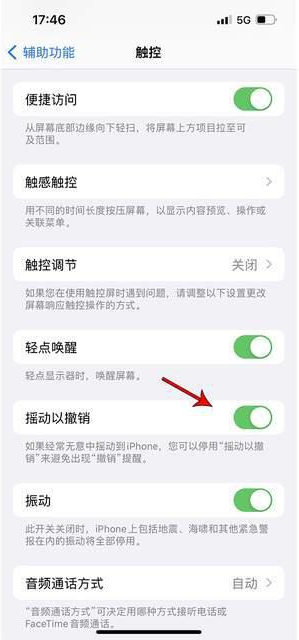 麻涌镇苹果手机维修分享iPhone手机如何设置摇一摇删除文字 