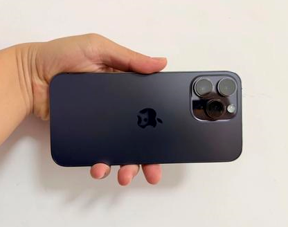 麻涌镇苹果维修点分享iPhone 14 Pro Max发烫多重诱因剖析 